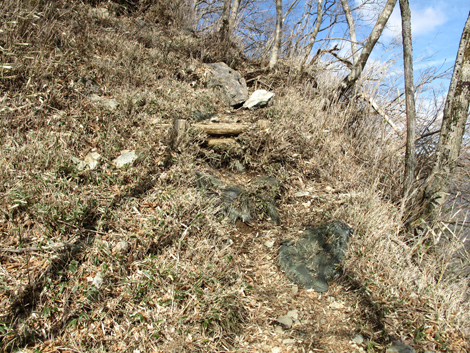 20160218hike (412)